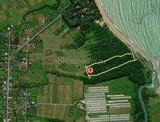 УЧАСТОК ГУДАУТА 