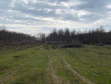 УЧАСТОК ГУДАУТА 