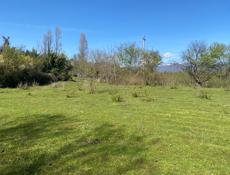 Гудаута приморск 