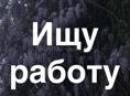Ищу работу или подработку 