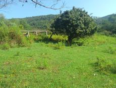 СРОЧНО земельный участок 25 соток 