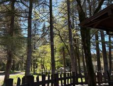 Требуется официант 