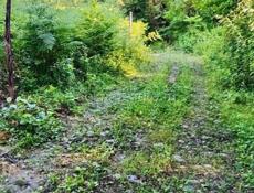 УЧАСТОК 2 ГА У ГОРНОЙ РЕКИ В С. ДЗЫГУТА