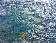 УЧАСТОК 2 ГА У ГОРНОЙ РЕКИ В С. ДЗЫГУТА