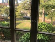 Маленькая трешка Пицунда 