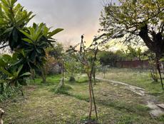 продажа Участка у моря ,в городе Очамчыра