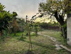 продажа Участка у моря ,в городе Очамчыра