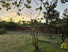 продажа Участка у моря ,в городе Очамчыра