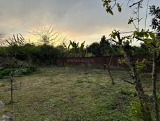 продажа Участка у моря ,в городе Очамчыра