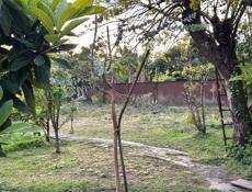 продажа Участка у моря ,в городе Очамчыра