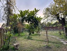 продажа Участка у моря ,в городе Очамчыра