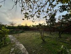 продажа Участка у моря ,в городе Очамчыра