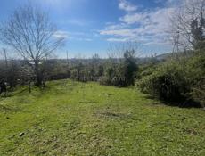 Цандрипш 10 соток. 