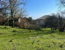 Цандрипш 10 соток. 