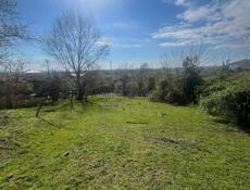 Цандрипш 10 соток. 