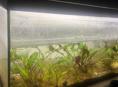Продается аквариум