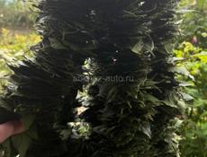 Продаю 