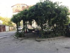 Студи посуточно возле моря !