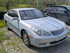 Toyota Windom