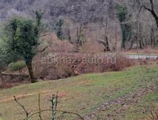 Бзыбь 3км  срочно 50 соток 
