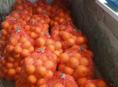 В продаже имеется более тонны апельсинов сорта Вашингтон