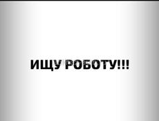 Ищу работу 
