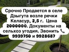 Срочно ‼️ 