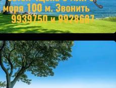 Срочно ‼️ 