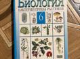 биология 6 класс, Пасечник