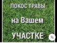 Покос участка 