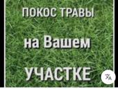 Покос участка 
