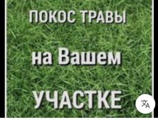Покос участка 