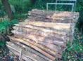 Колышки сегодня срочно 