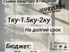 Сниму квартиру в Пицунде 