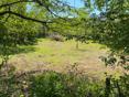 Сухум дзидзария 