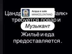 Музыкант 