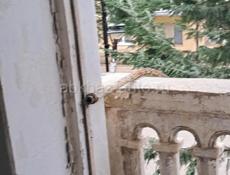 За шестьсот тысяч рублей документы делаютс