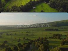 кактус