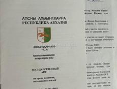 Цандрипш 6 соток с бонусом