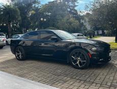 Dodge