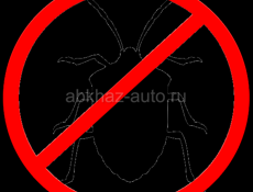 Дезинсекция профессиональная