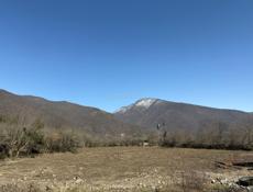 Срочно по центральной дороге на Бзыби