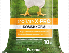 Продаются цыплята