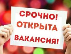 Ищем главного бухгалтера (производство воды)