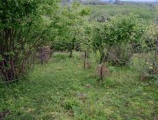 Дранда . 1 км от центральной трассы 