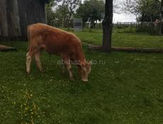 Продаю срочно 
