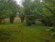 Продам участок орех