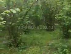 Продам участок орех