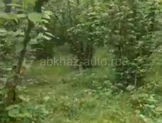 Продам участок орех
