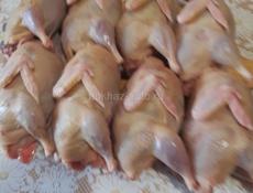 Продаются перепела _ тушки